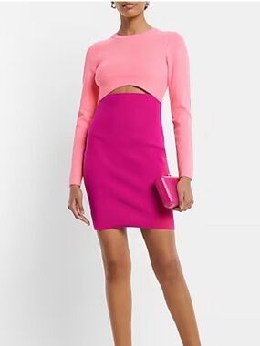 NWT Express Body Contour Long-Sleeve Dress